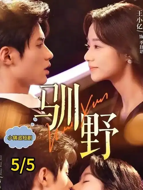 归港 都市情感剧高清在线观看